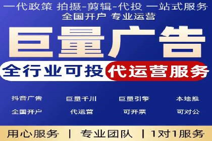 SEM专员案例：数据分析与优化